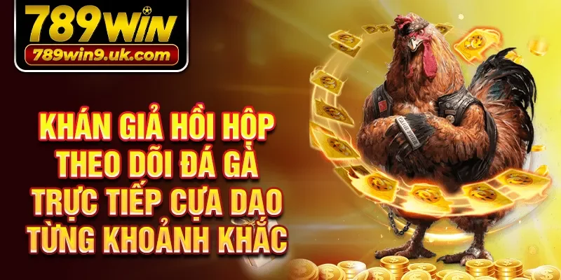 Khán giả hồi hộp theo dõi đá gà trực tiếp cựa dao từng khoảnh khắc