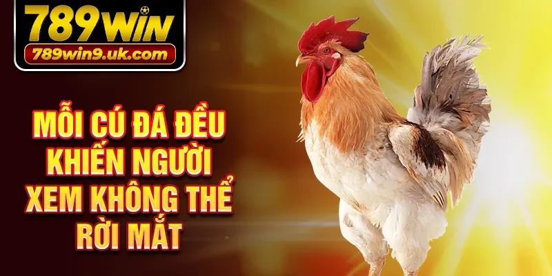 Mỗi cú đá đều khiến người xem không thể rời mắt.